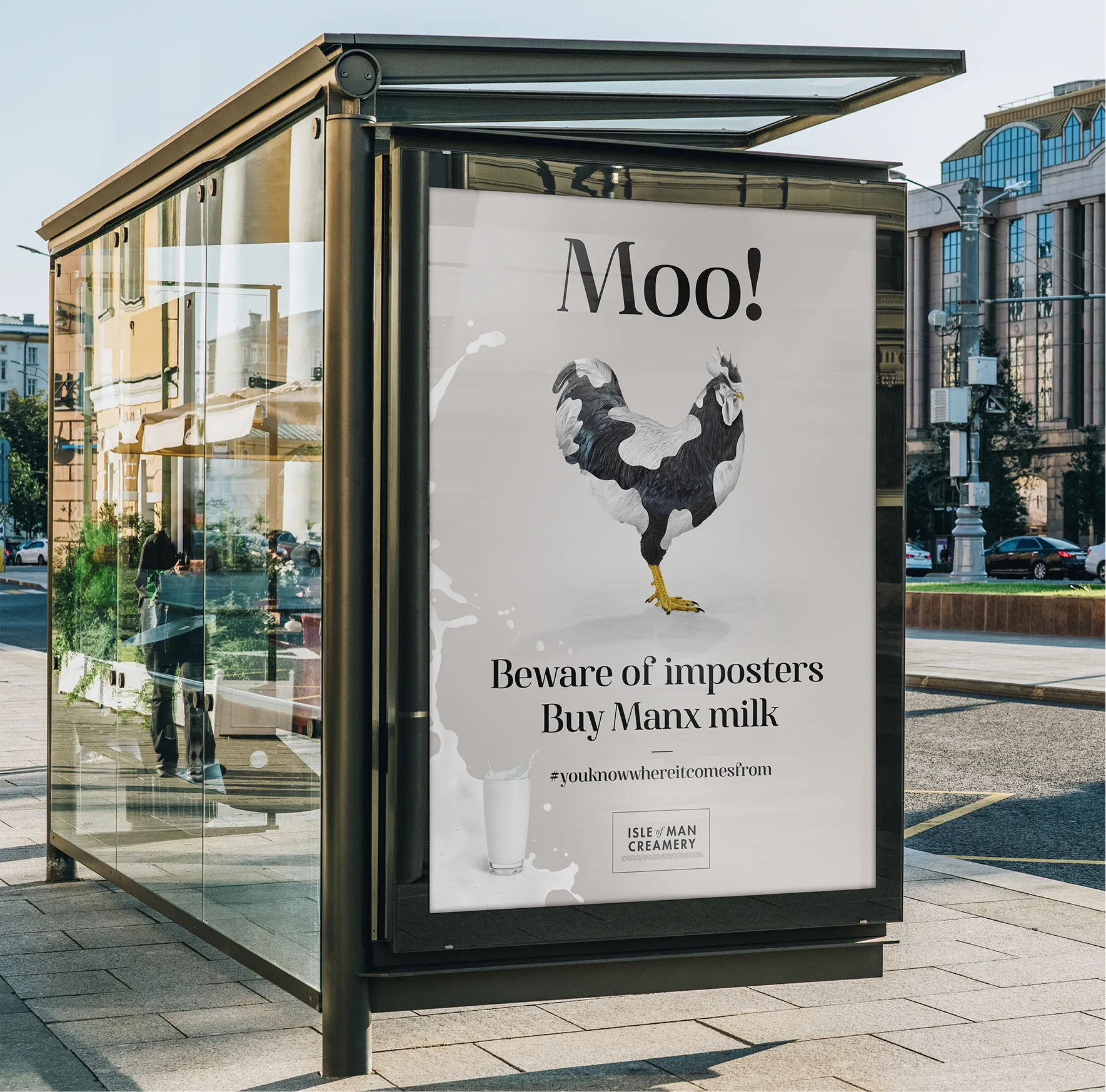 A bus shelter advertisement for Isle of Man Creamery featuring a rooster beneath the word "Moo!" with the text "Beware of imposters, Buy Manx milk" and the hashtag #youknowwhereitcomesfrom, displayed on a city street.